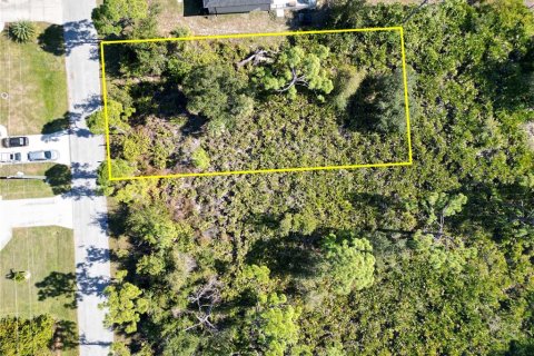 Land in Port Charlotte, Florida № 2206374 - photo 12