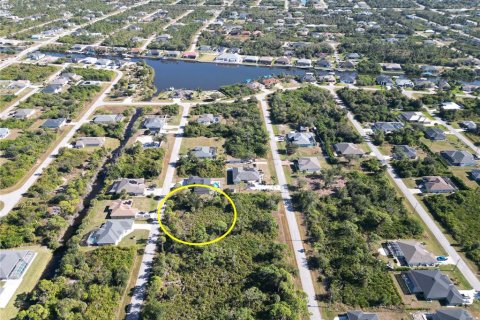 Land in Port Charlotte, Florida № 2206374 - photo 11
