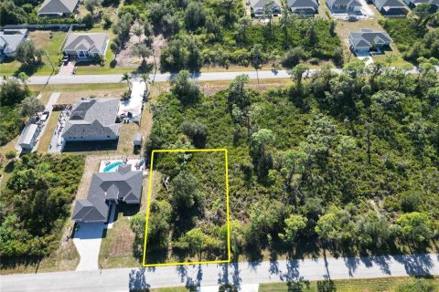 Land in Port Charlotte, Florida № 2206374 - photo 3