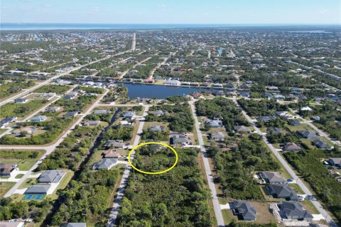 Land in Port Charlotte, Florida № 2206374 - photo 9
