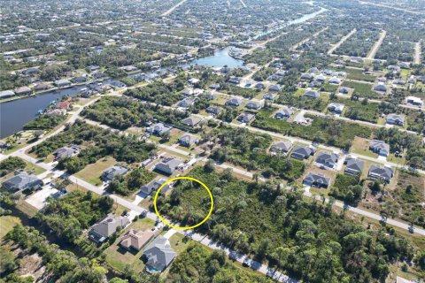 Land in Port Charlotte, Florida № 2206374 - photo 8