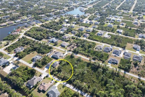 Land in Port Charlotte, Florida № 2206374 - photo 7