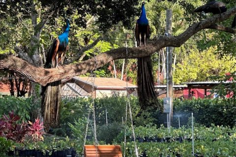 House in Homestead, Florida 3 bedrooms, 213.77 sq.m. № 1997967 - photo 19