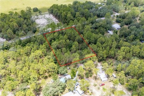 Land in Dunnellon, Florida № 2163644 - photo 5