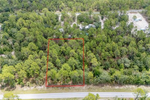 Land in Dunnellon, Florida № 2163644 - photo 2