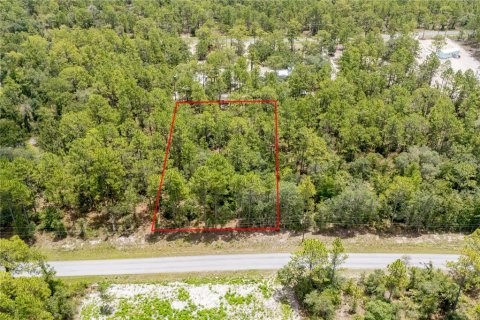 Land in Dunnellon, Florida № 2163644