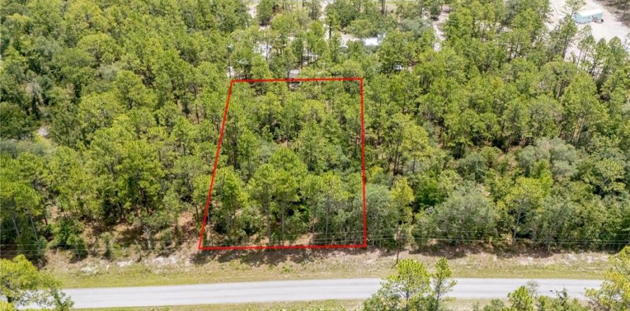 Land in Dunnellon, Florida № 2163644