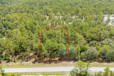 Land in Dunnellon, Florida № 2163644 - photo 4