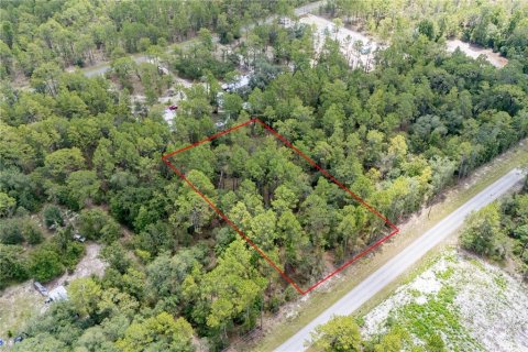 Land in Dunnellon, Florida № 2163644 - photo 3