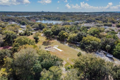 Land in Riverview, Florida № 1793037 - photo 6