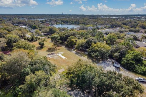 Land in Riverview, Florida № 1793037 - photo 7