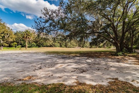 Land in Riverview, Florida № 1793037 - photo 29
