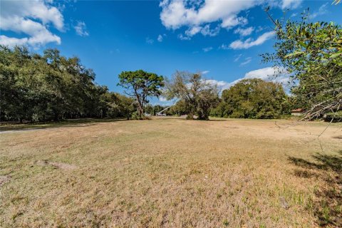 Land in Riverview, Florida № 1793037 - photo 26