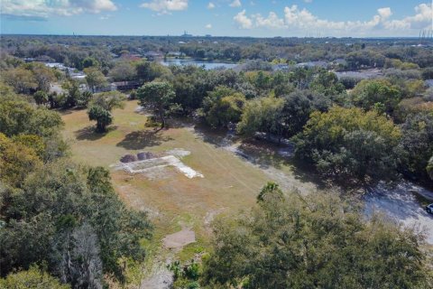 Land in Riverview, Florida № 1793037 - photo 5