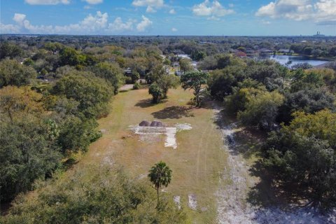 Land in Riverview, Florida № 1793037 - photo 4