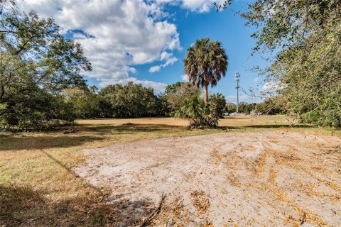 Land in Riverview, Florida № 1793037 - photo 28