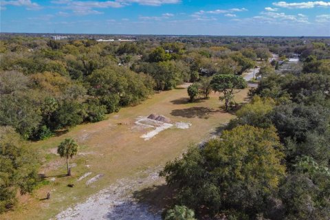Land in Riverview, Florida № 1793037 - photo 3