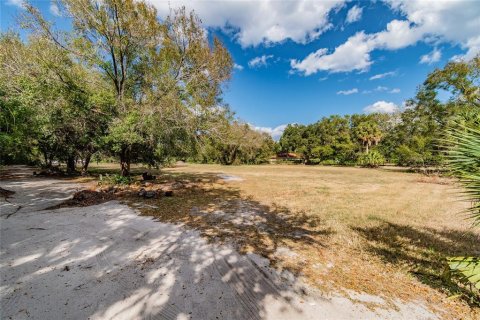 Land in Riverview, Florida № 1793037 - photo 24
