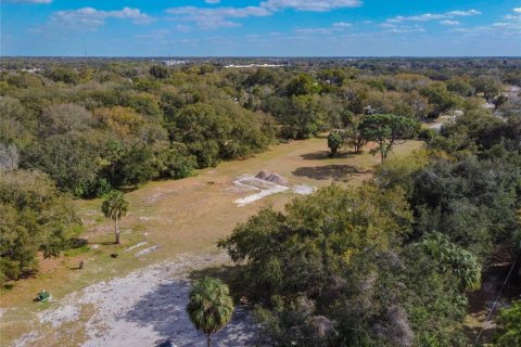 Land in Riverview, Florida № 1793037 - photo 2