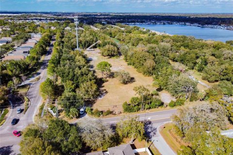 Land in Riverview, Florida № 1793037 - photo 18