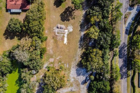 Land in Riverview, Florida № 1793037 - photo 12