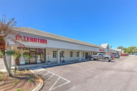 Immobilier commercial à Valrico, Floride № 2330875