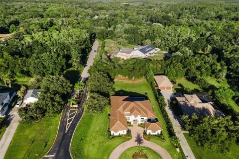 Casa en venta en New Port Richey, Florida, 4 dormitorios, 354.33 m2 № 2324613 - foto 5