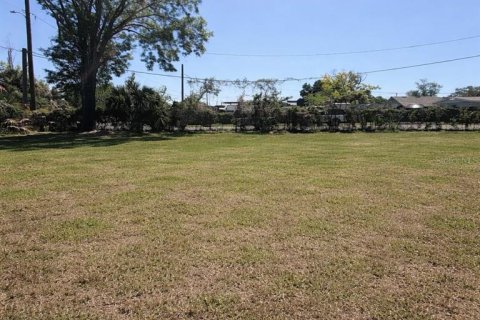 Terrain à vendre à Tampa, Floride № 2205926 - photo 4