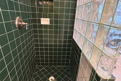Купить виллу или дом в Тампа, Флорида 10 комнат, 189.89м2, № 2142718 - фото 26