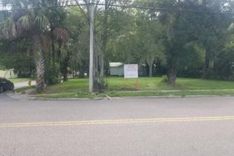 Land in Jacksonville, Florida № 882128 - photo 1