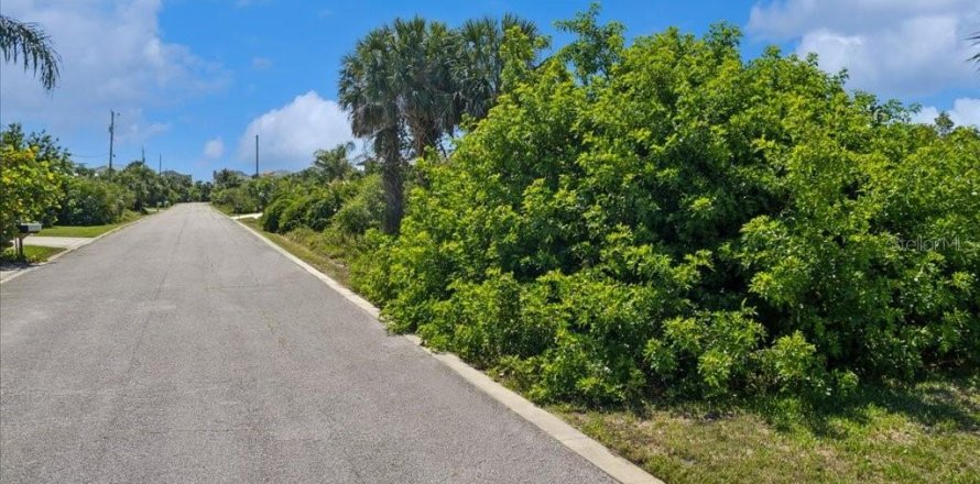 Terreno en Palm Coast, Florida № 1751522