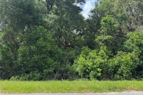 Land in Altoona, Florida № 2122777