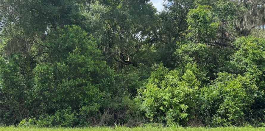 Land in Altoona, Florida № 2122777