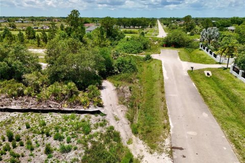 Land in Naples, Florida № 2156493 - photo 4