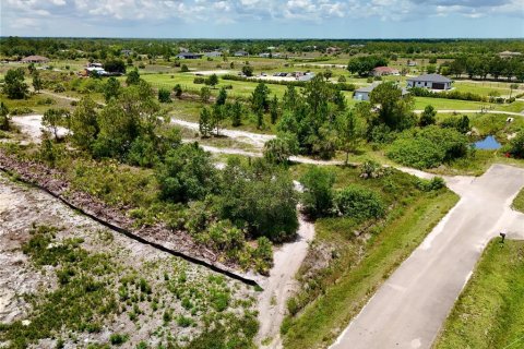 Land in Naples, Florida № 2156493 - photo 5