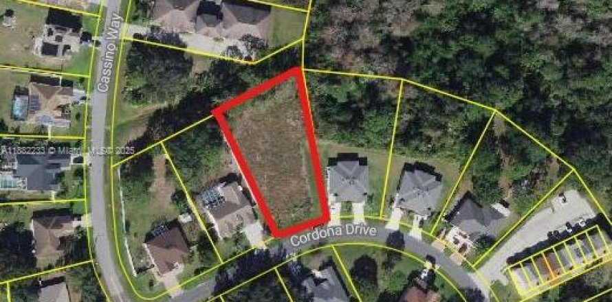 Propiedad comercial en Kissimmee, Florida № 1929452