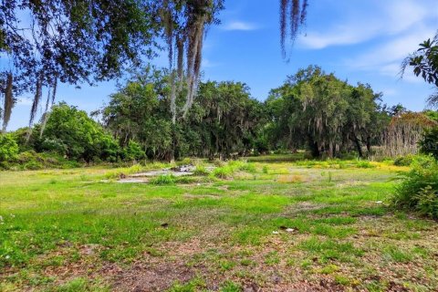 Terreno en venta en Bartow, Florida № 2092278 - foto 5