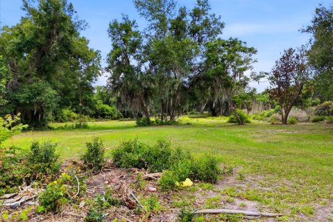 Terreno en venta en Bartow, Florida № 2092278 - foto 6