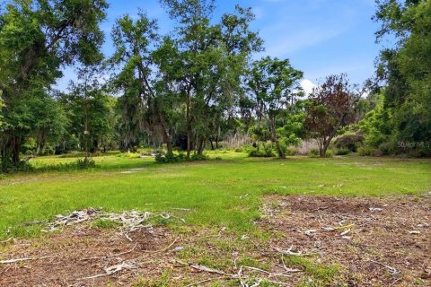 Terreno en venta en Bartow, Florida № 2092278 - foto 4