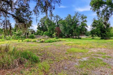 Terreno en venta en Bartow, Florida № 2092278 - foto 7