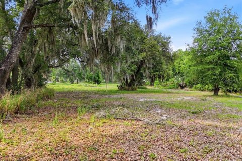 Terreno en venta en Bartow, Florida № 2092278 - foto 8