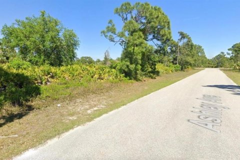Land in Port Charlotte, Florida № 2165604 - photo 4