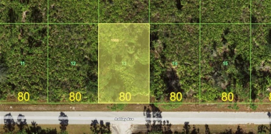 Land in Port Charlotte, Florida № 2165604