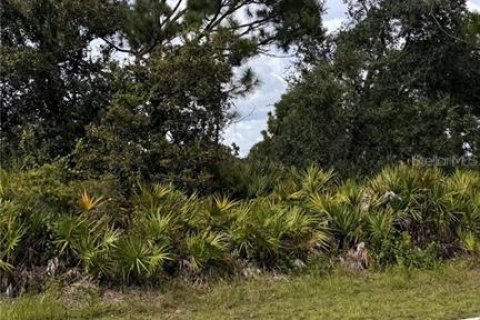 Land in Port Charlotte, Florida № 2165604 - photo 5