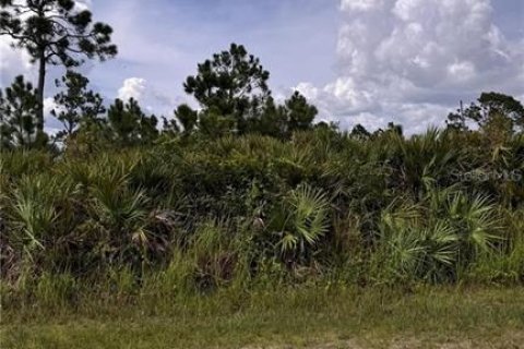 Land in Port Charlotte, Florida № 2165604 - photo 6