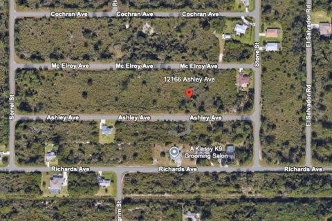 Land in Port Charlotte, Florida № 2165604 - photo 7
