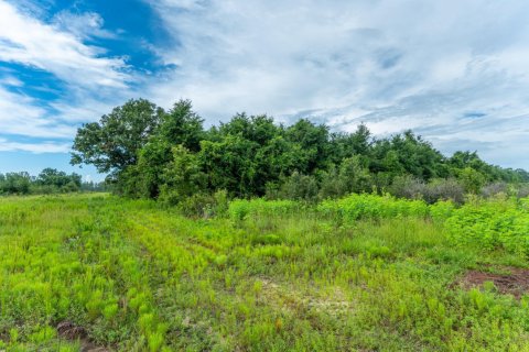 Land in Baker, Florida № 562002 - photo 1