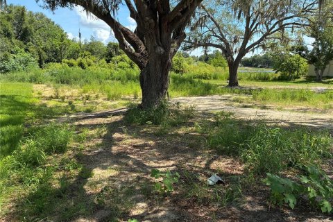 Terrain à Leesburg, Floride № 2273006