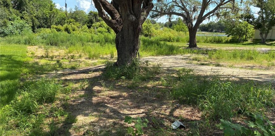 Land in Leesburg, Florida № 2273006