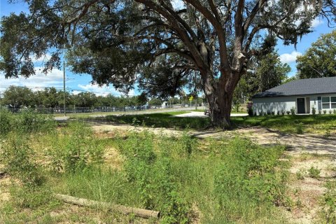 Land in Leesburg, Florida № 2273006 - photo 3